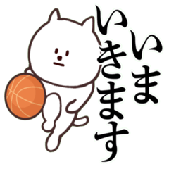 Cat basketball talk