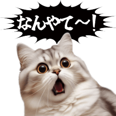 Cat, Kansai Dialect