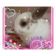 nao_20250207213647