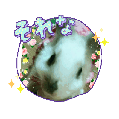 nao_20250207214138