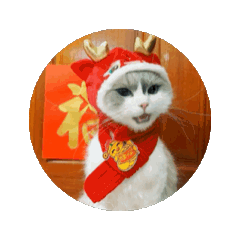 動態姆姆