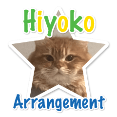 Persian Cat Hiyoko Arrangement Sticker