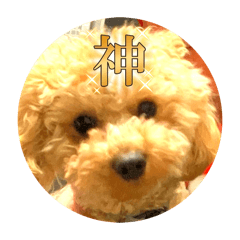 mugi_20250210104411
