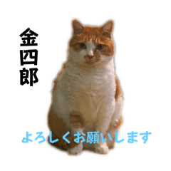tk_20250209135359
