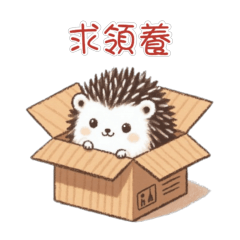 The daily life of a little hedgehog.01