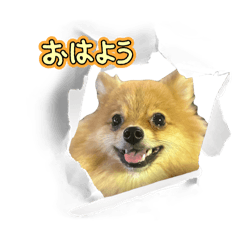 mirei_20250209100319