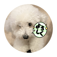 めあのスタンプあああ