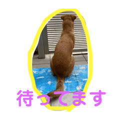 HANA_20250209143556