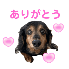 momo_20250209115912