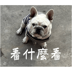 麻吉其實是麻糬2