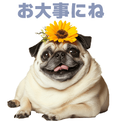 Pug greetings2