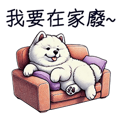 GOOD Samoyed-CUTE