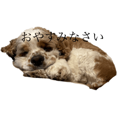 Lemon_20250209152640