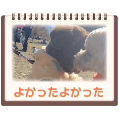 mugi_20250210114136