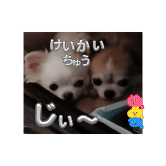 mm_20250209162649