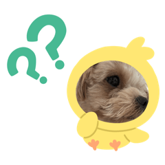 ran_20250209164437