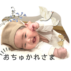 kinako_20250209171528