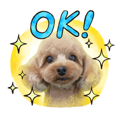 naho_20250209180339