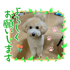 minami_20250209180104
