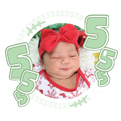 princ paknampo_20250210092220