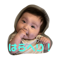 mame_20250209183546