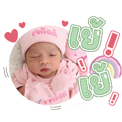 princ paknampo_20250210105120