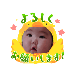 kinako_20250210111243
