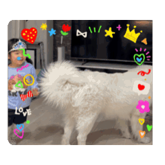 Roger_20250210145216