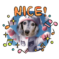 I like dogs_20250209192030