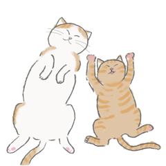 apology sticker with cats