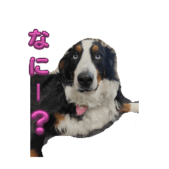 saori_20250209194526