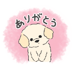 Shiromarupoo 1