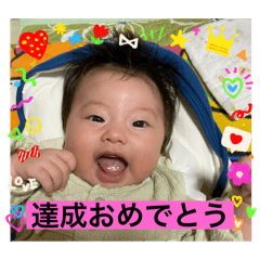 Yanagi_20250209204007