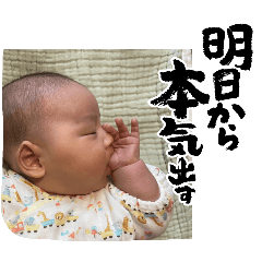 Toki_20250209204453