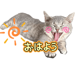 masaki_20250210031346