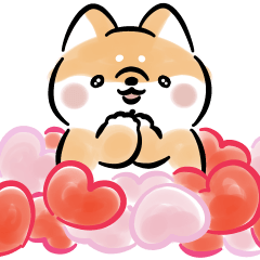 Shiba Inu Dog in love 2<Red Shiba>