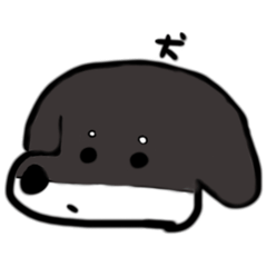 Ruru_20250209215456