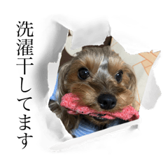 BORUTO&Lewis_20250209223855