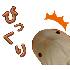 karin_20250209181728