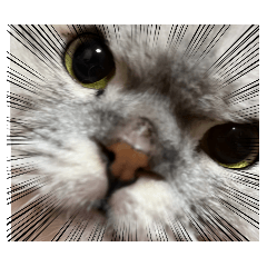 L_20250209230230