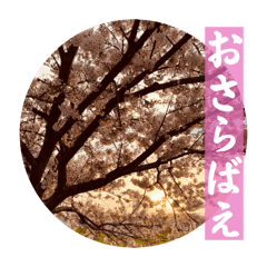 akiko_20250209231454