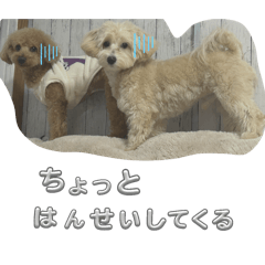 uka_20250210001944