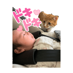 sato_20250210014254