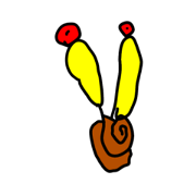 MEZ_20250210012638