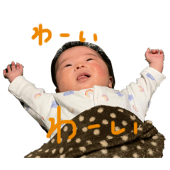 n_20250210091739