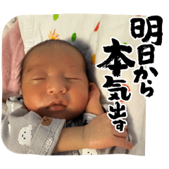 hina_20250210115716