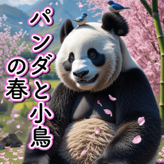 tobidasu haru panda