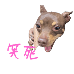 Goro & Nora & Strange Thing