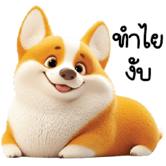 Corgi super cute Dog