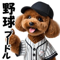 Real Baseball Poodle